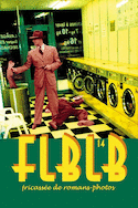 Revue Flblb, no 14